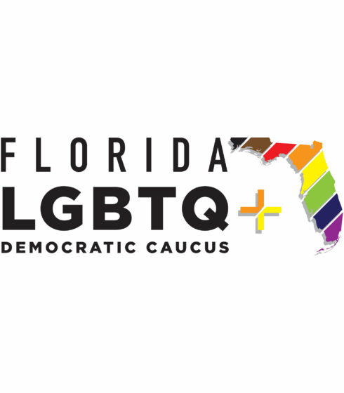 LGBTQ+ Democratic Caucus